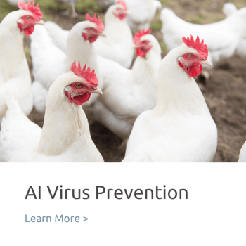 AI Virus Prevention