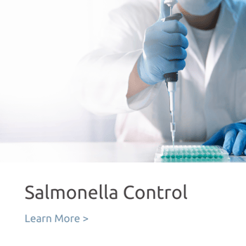 Salmonella control