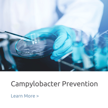 Campylobacter Prevention