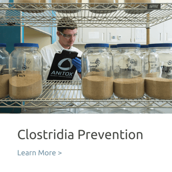 clostridia prevention