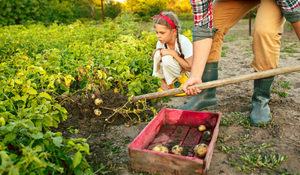 family farming