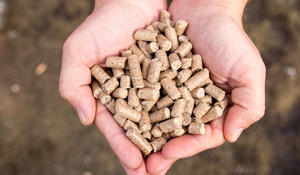 pelleted feed