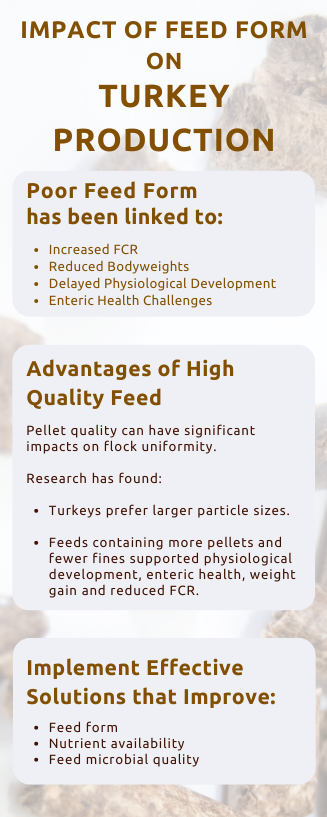 Pellet Quality impact on Turkey Production and Management