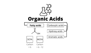 formic acid