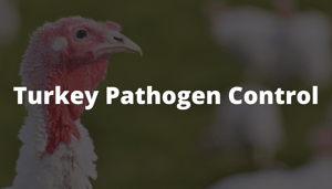 Salmonella Prevention (5)