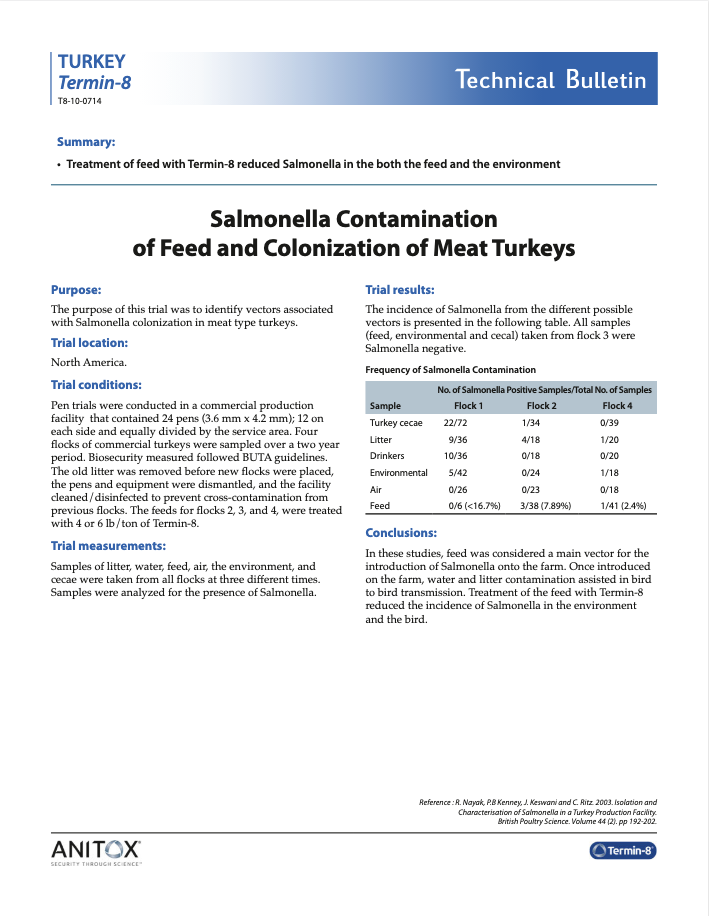 Salmonella contamination of feed and colonization of meat turkeys