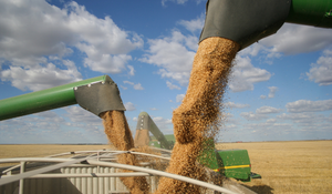 Harvesting Crops