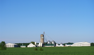 poultry farm biosecurity