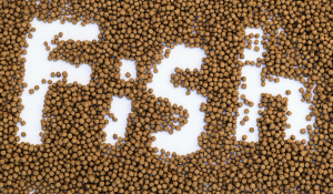  reducing pathogens in fishmeal