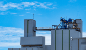 feed mill biosecurity in ABF production