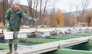 improving aqua feed quality and consistency