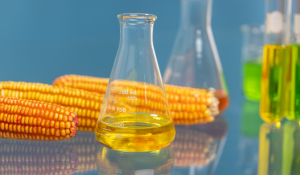 biofuel process optimization
