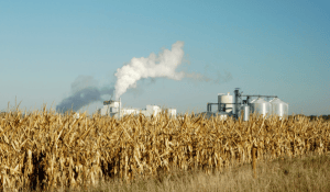 fermentation efficiency and biosecurity