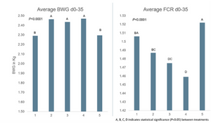 feed sanitation in broiler management