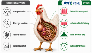 Gut resilience