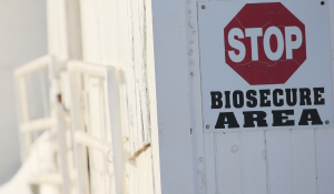 feed mill biosecurity