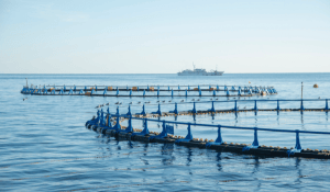 low-carbon aquaculture production