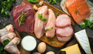 sustainable protein meals