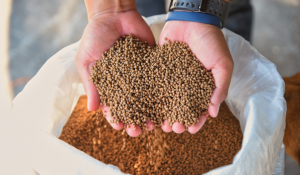 commercial fish feed