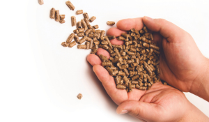 feed pellet quality