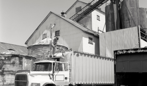 Preventing PEDV through feed sanitation