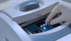 Nutritional strategies to enhance pig immunity against PEDV
