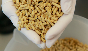 minimizing shrink in feed production
