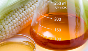 clean feedstocks for ethanol production