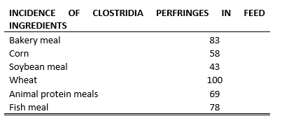 clostridia table 1