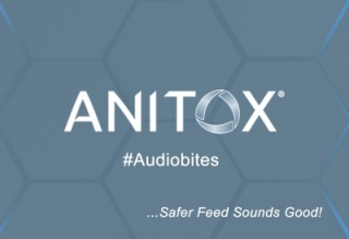 Anitox Audiobites – Milling Challenges with Chris Burton and Paul Quinn (Part 3)