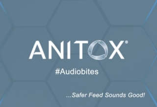 Anitox Audiobites – Safer feed sounds good