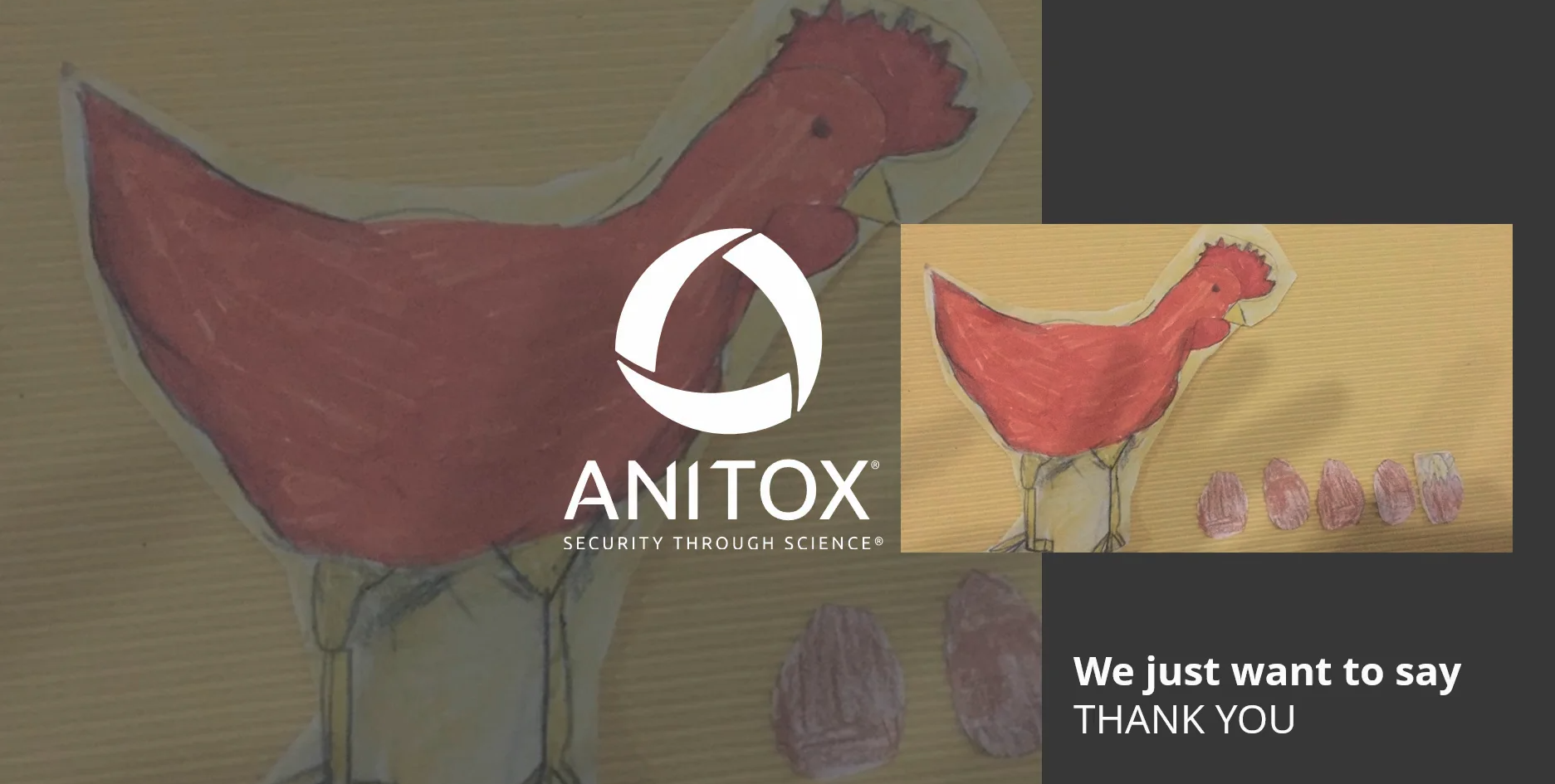 Thank you Anitox Artists