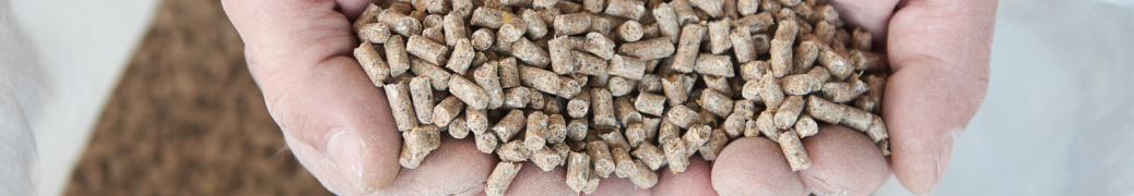 peak 2024 feed manufacturing track