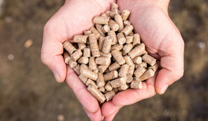 Animal Feed Additives Support Food Production