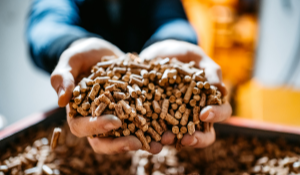 Your Guide to Improving Feed Quality