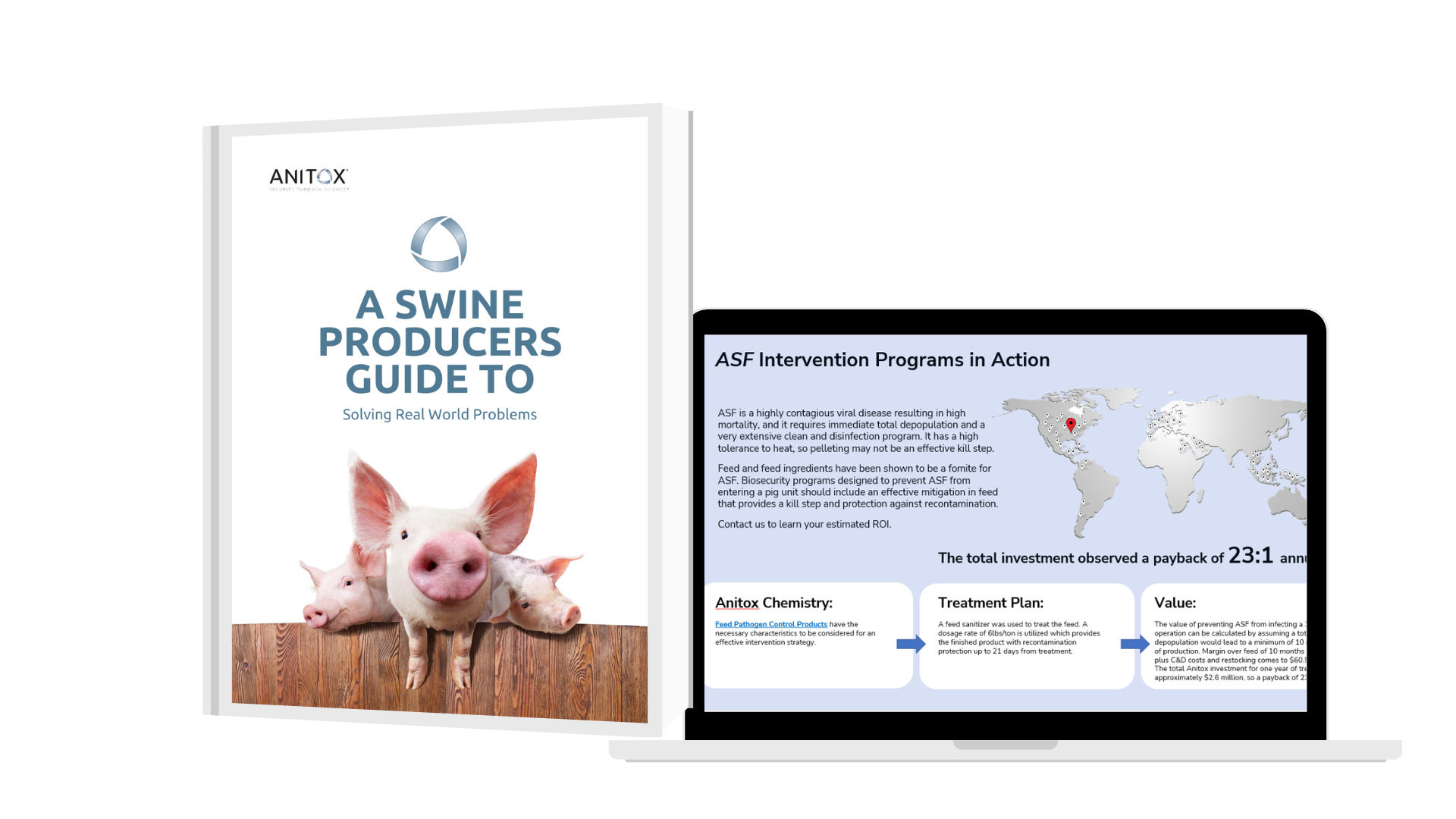 swine production