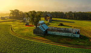 Multi-Point Intervention in Swine Production Matters