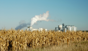 Biofuel Process Optimization Means Controlling Process Variability