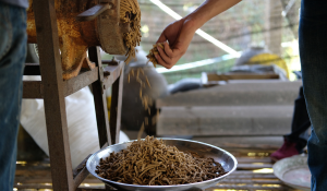 Aquafeed Mill Hygiene Best Practices for More Consistent Feed