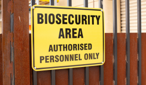 Why Fermentation Efficiency and Biosecurity Matter