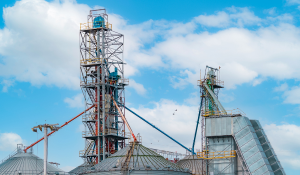 Digital Monitoring for Feed Hygiene That Turns Data Into Action