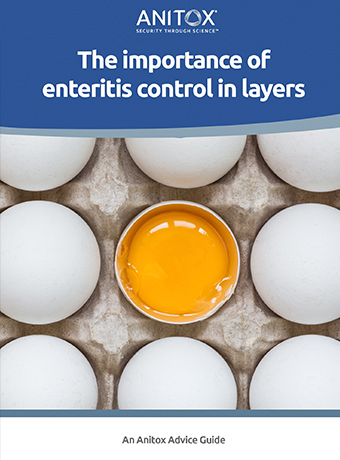 enteritis-report-cover-new enteritis-report-cover-new