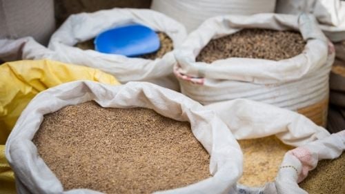 Impacts of Inadequate Moisture Management in Feed Milling